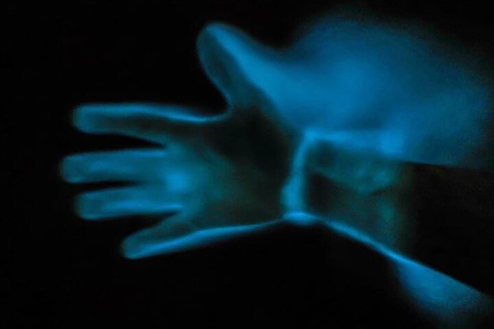 Bioluminescence Kayak Tour