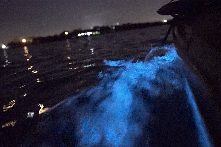 Bioluminescence Kayak Tour