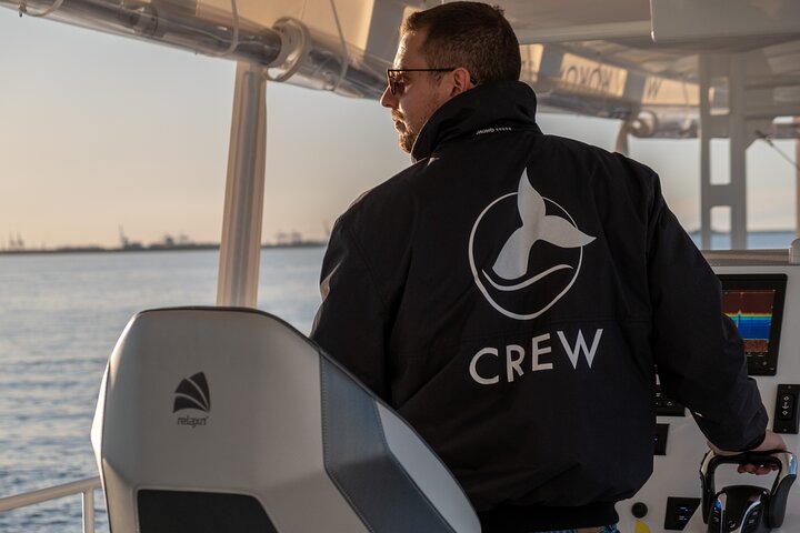Gold Coast Whale Watching Cruise