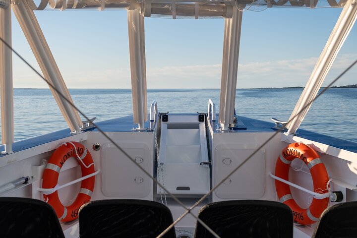 Gold Coast Whale Watching Cruise