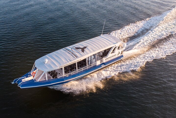 Gold Coast Whale Watching Cruise