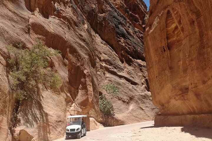 Petra Highlights Guided Golf Cart Tour with Hotel Pickup