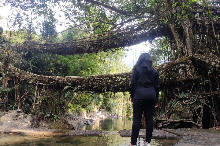 7 days kaziranga meghalaya tour package