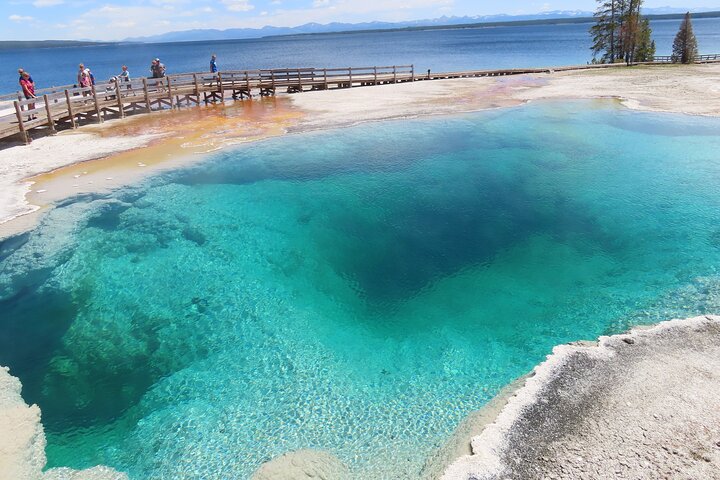Lower Loop Van Tour from West Yellowstone: Grand Prismatic and Old Faithful