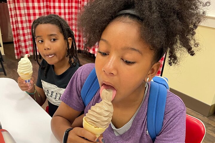 Downtown Knoxville Hidden Tour w/ Ice Cream, Coffee & Tennessee River Gems