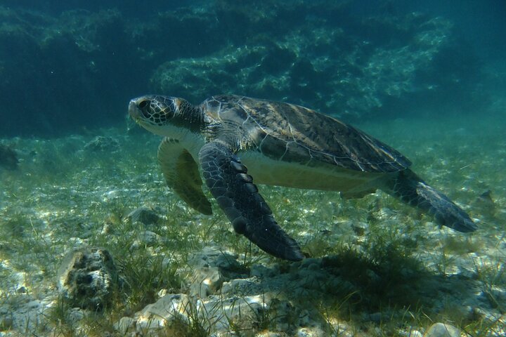 SCUBA DIVING first time experience