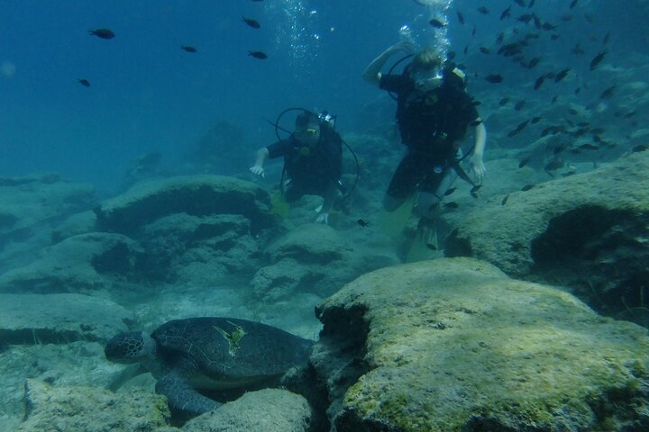 SCUBA DIVING first time experience