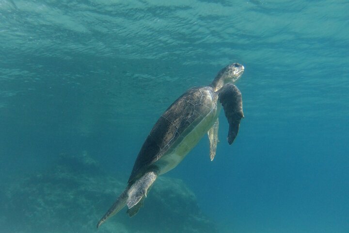 SCUBA DIVING first time experience