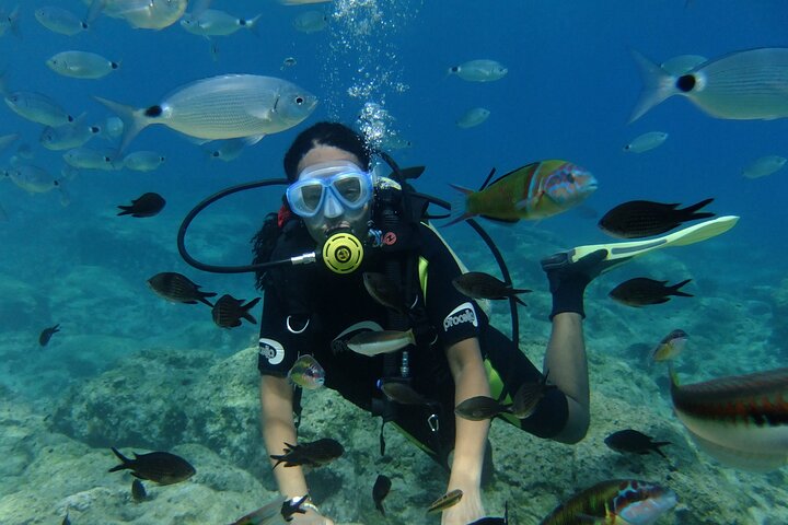 SCUBA DIVING first time experience