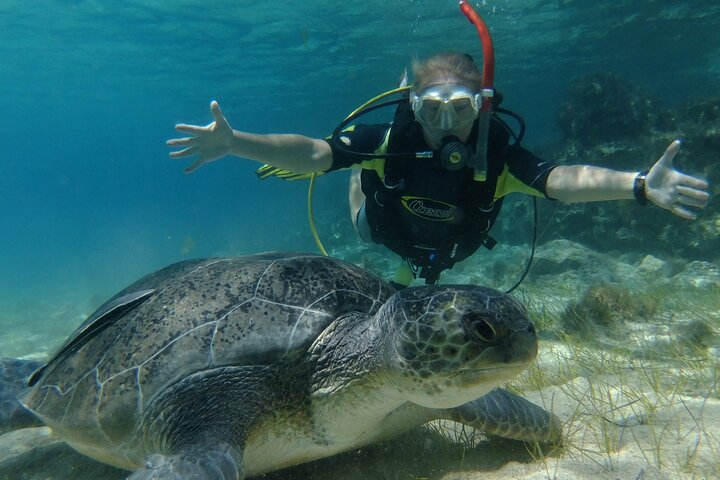 SCUBA DIVING first time experience