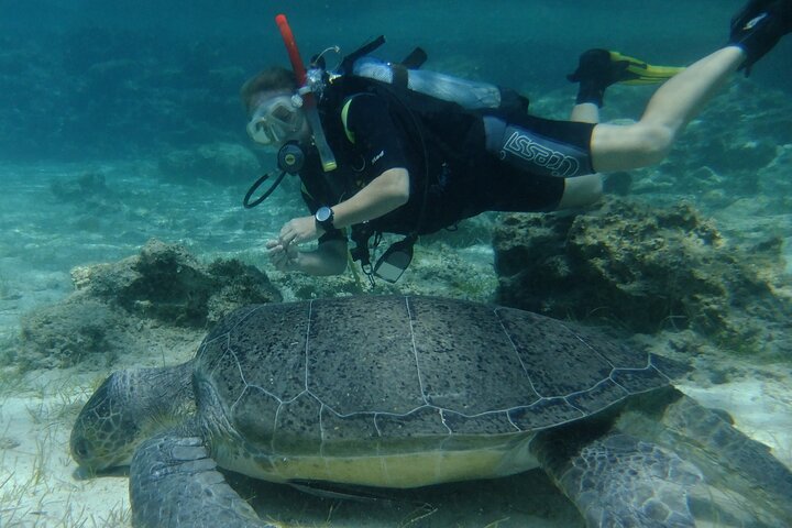 SCUBA DIVING first time experience