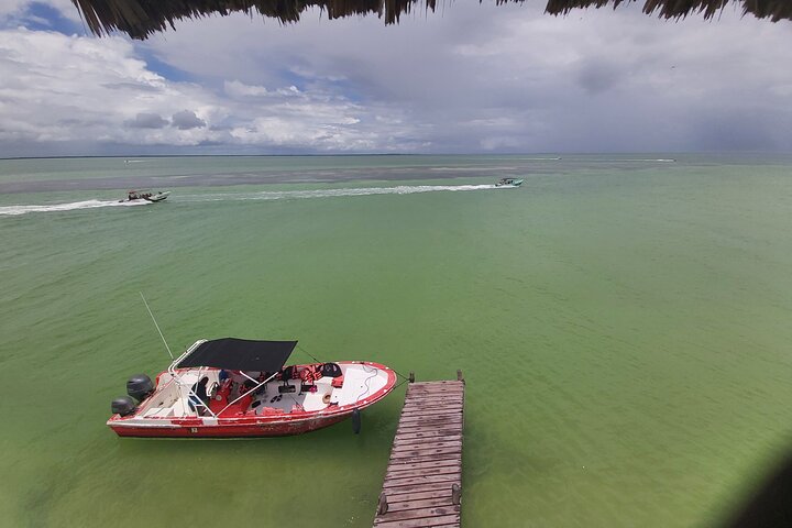 Boat Tour of Three Islands in Holbox with Transportation