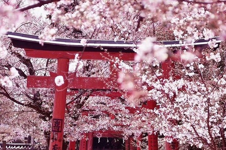 Private arrival transfer from Kansai International airport to Kyoto City