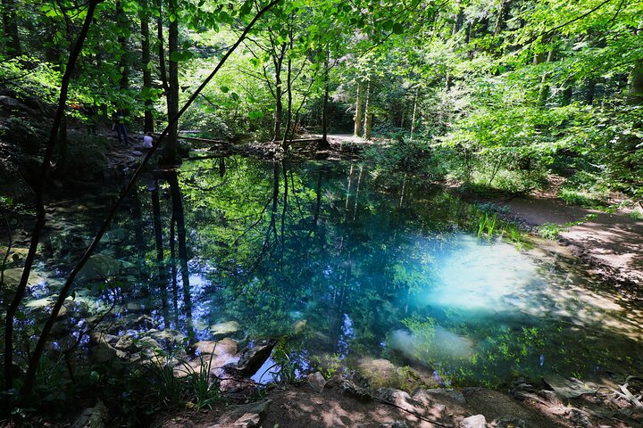Nera Gorge National Park - Private Day Tour from Timisoara