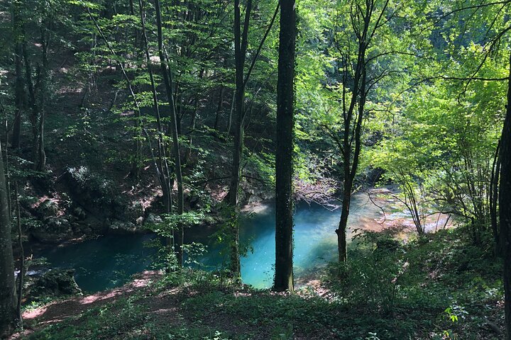 Nera Gorge National Park - Private Day Tour from Timisoara
