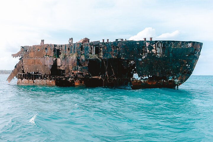 Private Marine Tour: Discover the 7 Colors of the San Andreas Sea