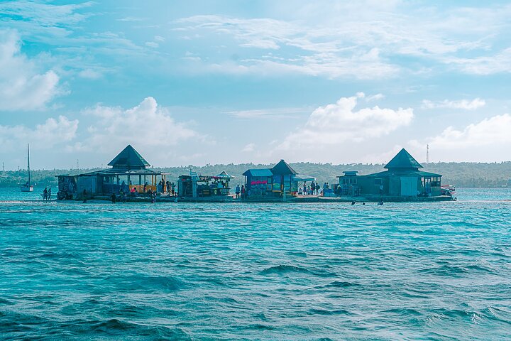 Private Marine Tour: Discover the 7 Colors of the San Andreas Sea