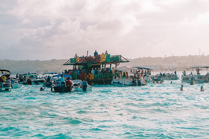 Private Marine Tour: Discover the 7 Colors of the San Andreas Sea