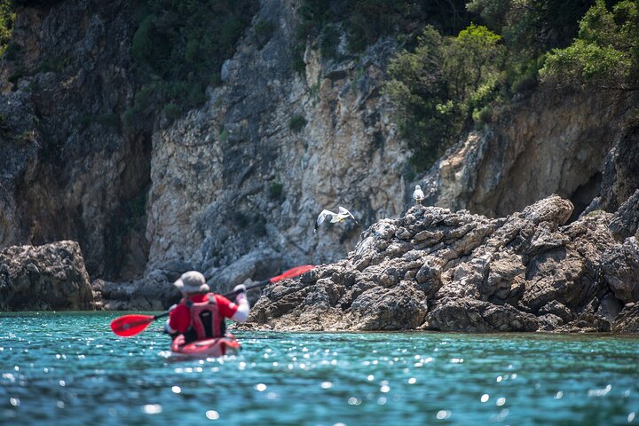 Lefkada Kayak : Explore Blue Cave with a Taste of Greece