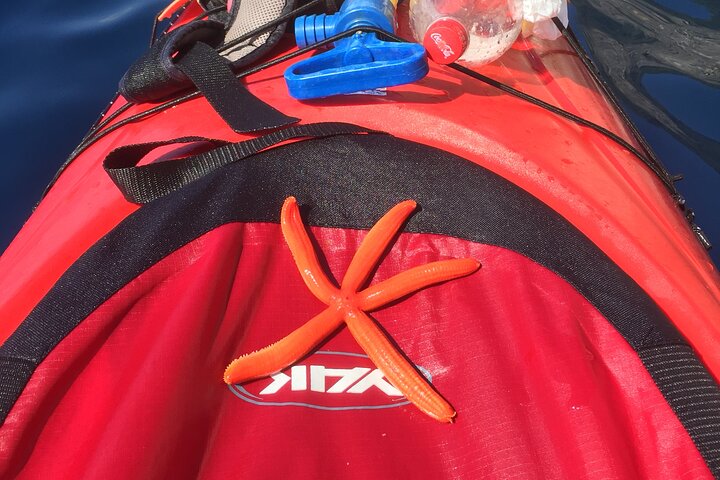 Full-Day Sea Kayaking Tour in Lefkada