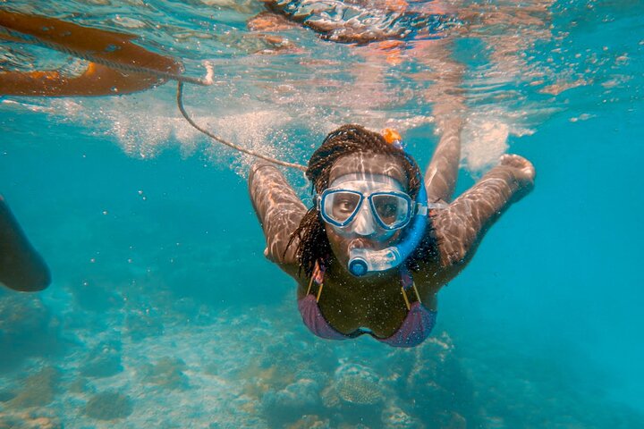 Full-Day Special Wasini Island Tour with Snorkeling and Lunch