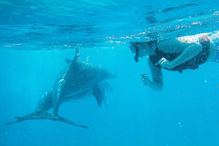 Full-Day Special Wasini Island Tour with Snorkeling and Lunch
