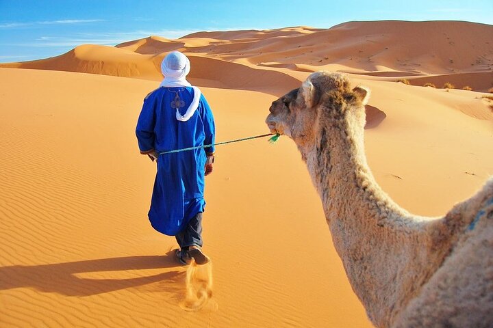 Tangier: Hercules Caves, Cap Spartel & Camel Ride Experience
