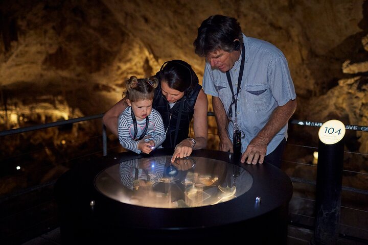 Mammoth Cave Self-guided Audio Tour (Located in Western Australia)
