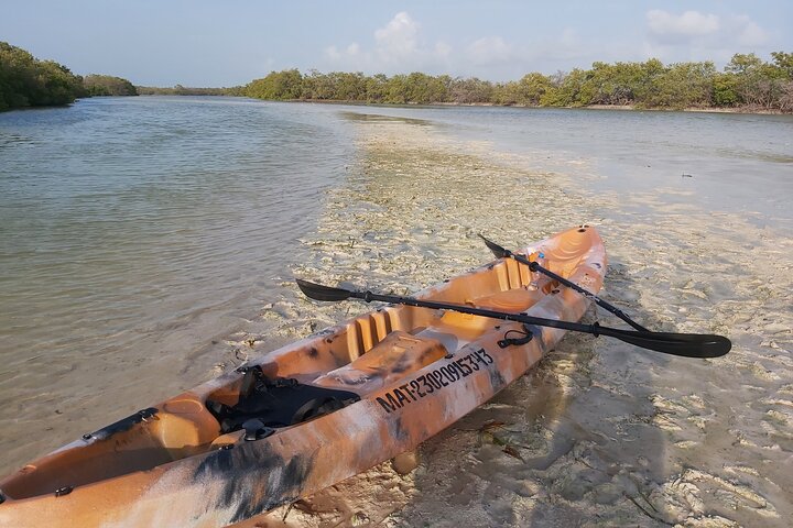Kayak Experience in the Mangroves of Holbox Island