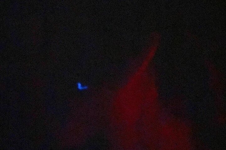 Bioluminescence Tour in Punta Cocos Holbox