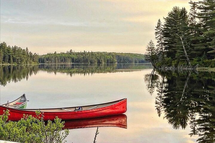 Algonquin Park 4-Day Deluxe Camping & Canoeing Adventure