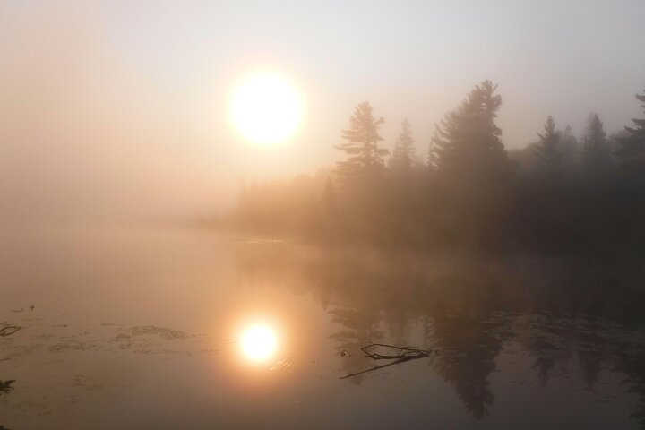 Algonquin Park 4-Day Deluxe Camping & Canoeing Adventure