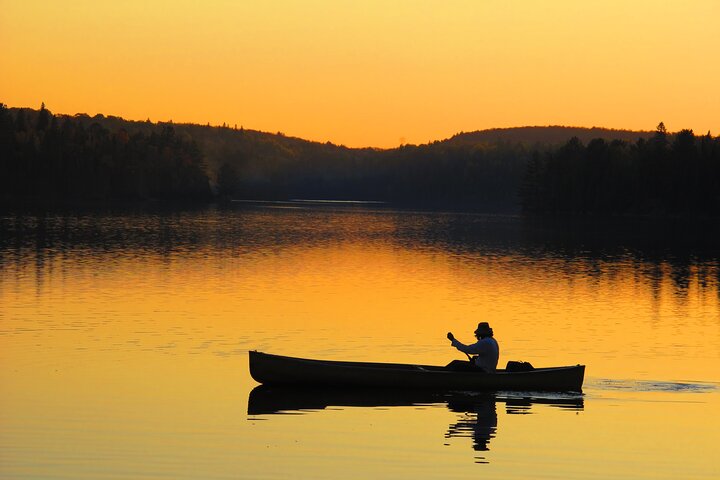 Algonquin Park 4-Day Deluxe Camping & Canoeing Adventure