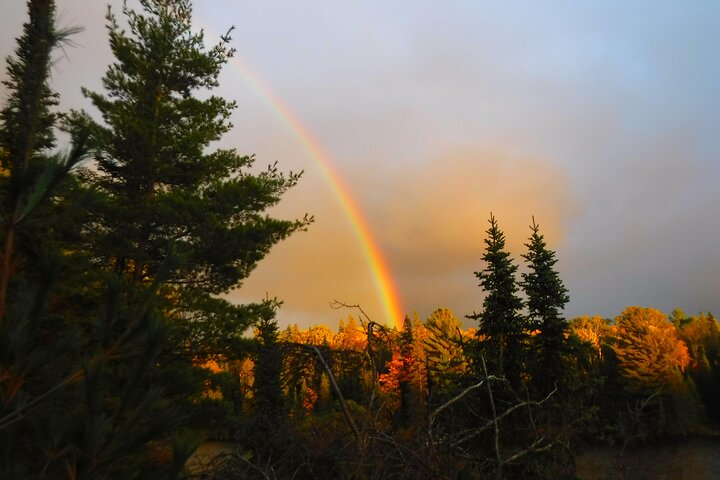 Algonquin Park 4-Day Deluxe Camping & Canoeing Adventure