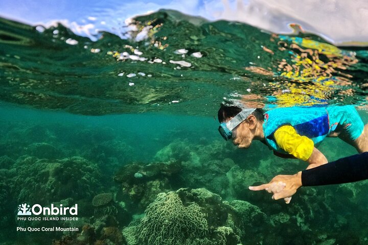 OnBird - Private family KID-FRIENDLY Snorkeling trip by speedboat in Phu Quoc