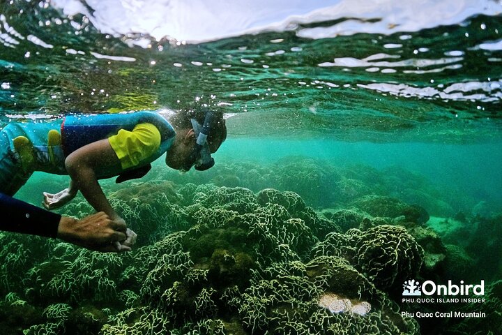 OnBird - Private family KID-FRIENDLY Snorkeling trip by speedboat in Phu Quoc