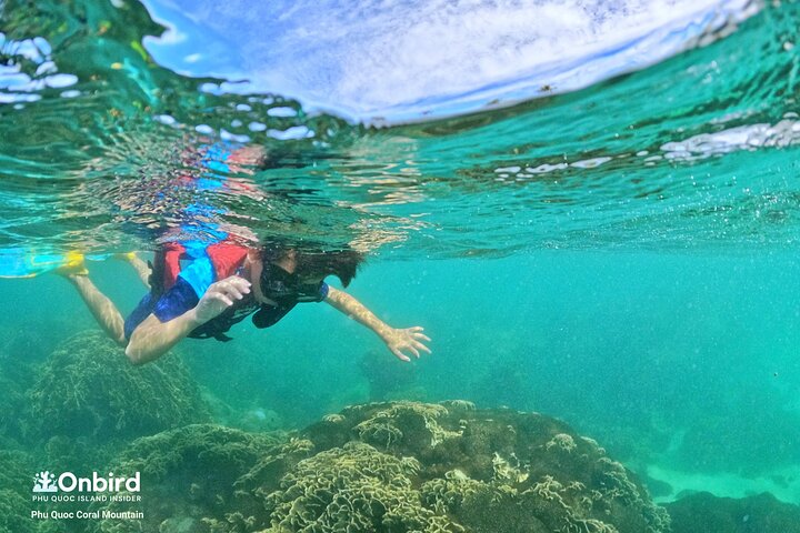 OnBird - Private family KID-FRIENDLY Snorkeling trip by speedboat in Phu Quoc
