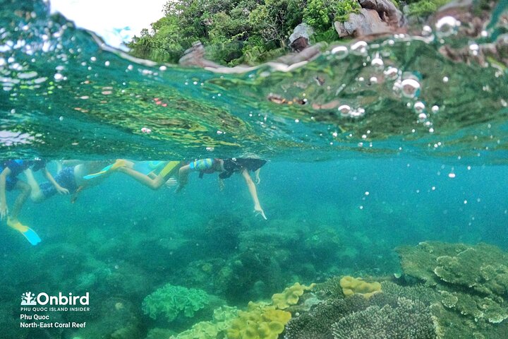 OnBird - Private family KID-FRIENDLY Snorkeling trip by speedboat in Phu Quoc