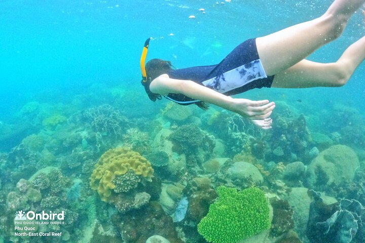 OnBird - Private family KID-FRIENDLY Snorkeling trip by speedboat in Phu Quoc
