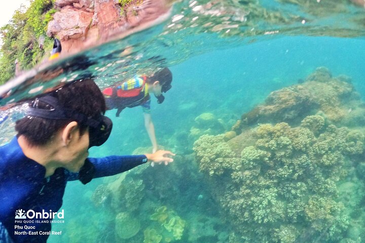 OnBird - Private family KID-FRIENDLY Snorkeling trip by speedboat in Phu Quoc