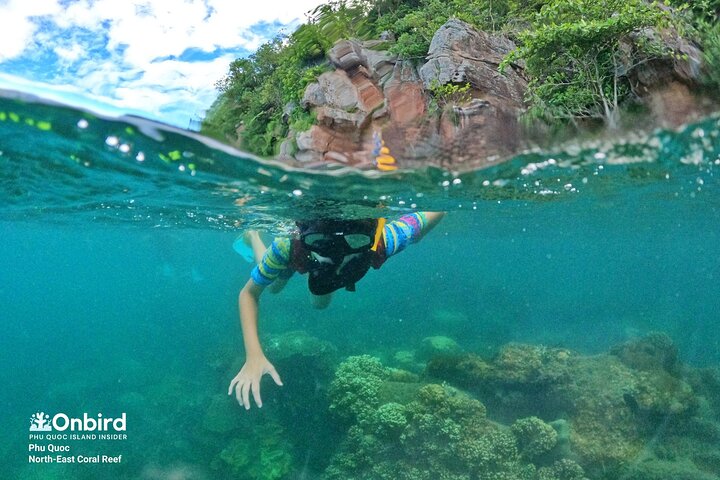 OnBird - Private family KID-FRIENDLY Snorkeling trip by speedboat in Phu Quoc