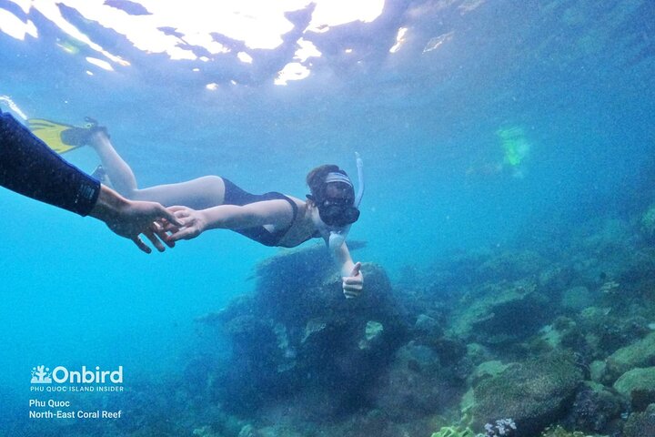 PRO-SNORKELING to Explore Hidden Coral Reefs (MAX 10 PAX)