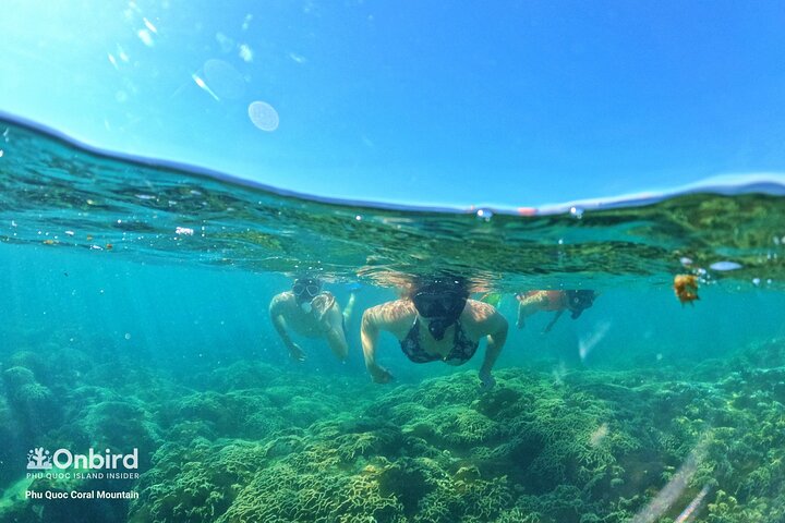 PRO-SNORKELING to Explore Hidden Coral Reefs (MAX 10 PAX)