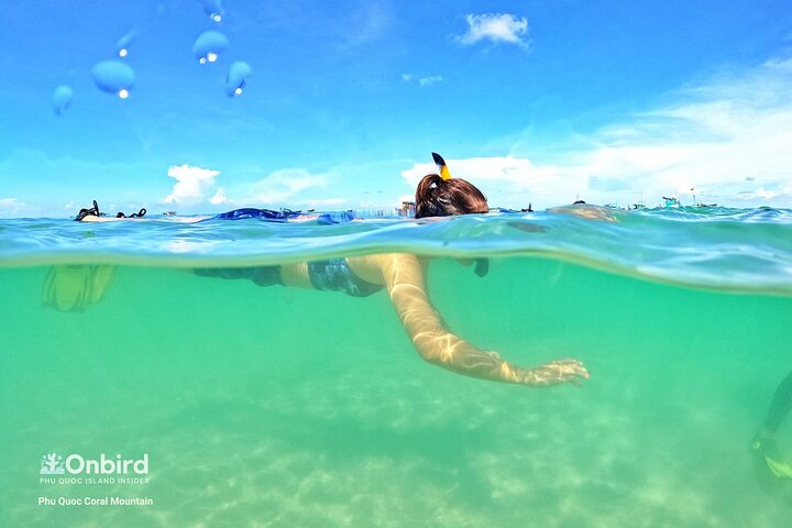 PRO-SNORKELING to Explore Hidden Coral Reefs (MAX 10 PAX)