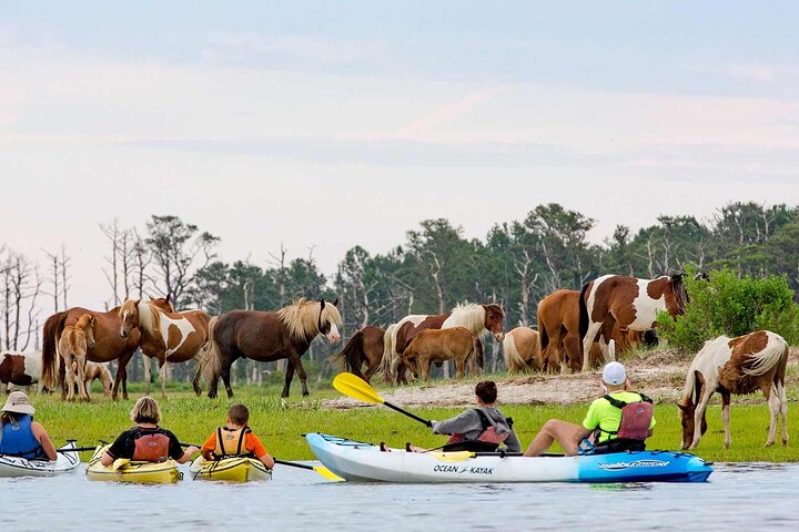 Kayak Tour along Assateague & Chincoteague Island, Virginia