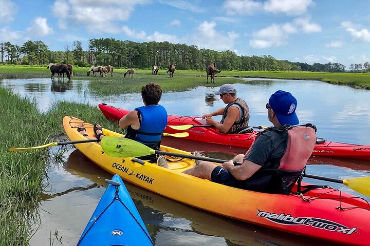 Kayak Tour along Assateague & Chincoteague Island, Virginia