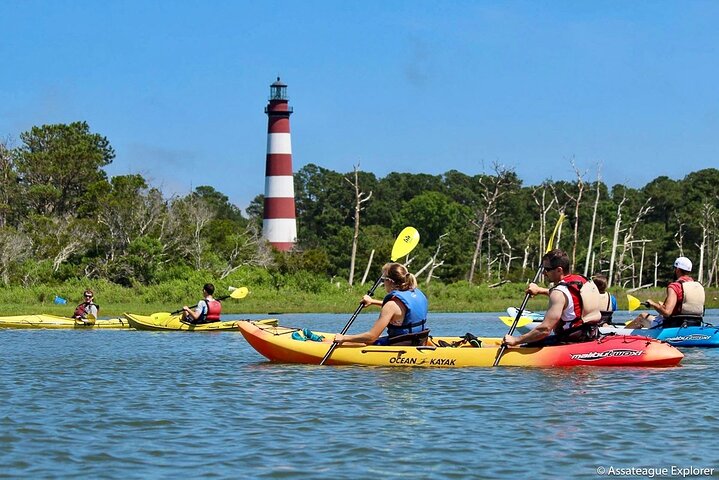 Kayak Tour along Assateague & Chincoteague Island, Virginia