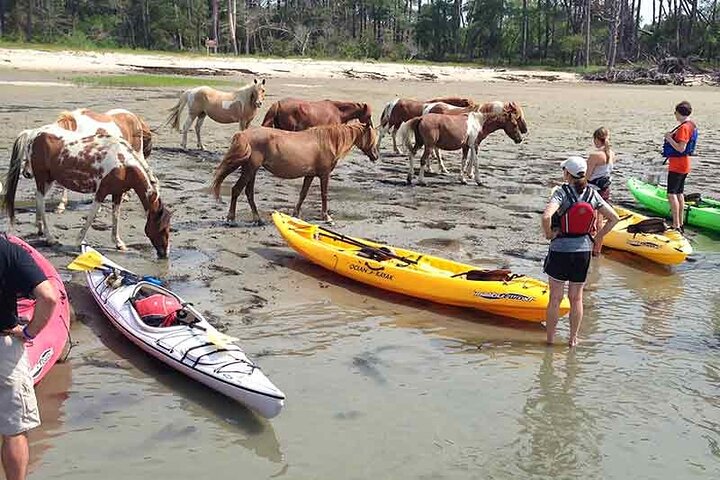 Kayak Tour along Assateague & Chincoteague Island, Virginia