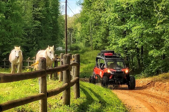 3 Hour Back Country Can-Am Experience