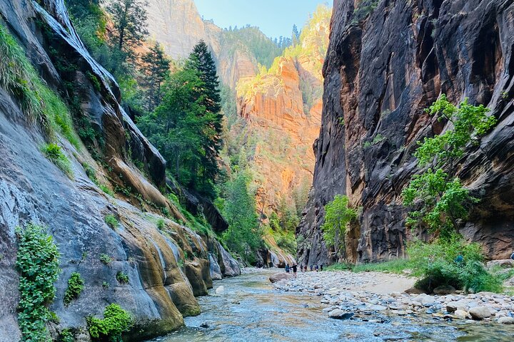 Zion Narrows: Private Guided Hike + Picnic (Gear Included)